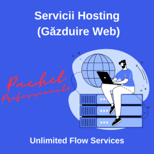 Servicii Hosting Unlimited Flow Services - Pachet Professional+